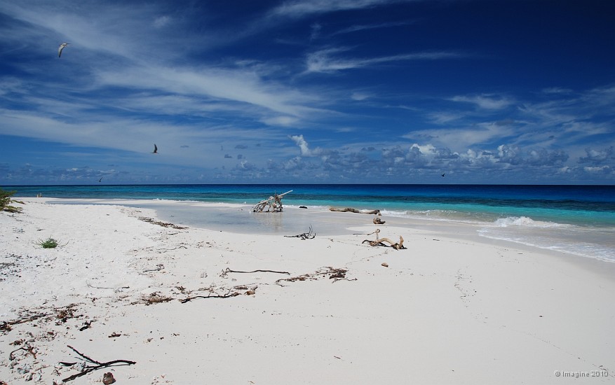 119- Sur la plage de N'Da.JPG